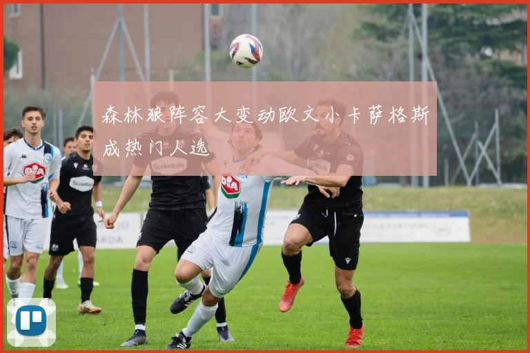 森林狼阵容大变动欧文小卡萨格斯成热门人选